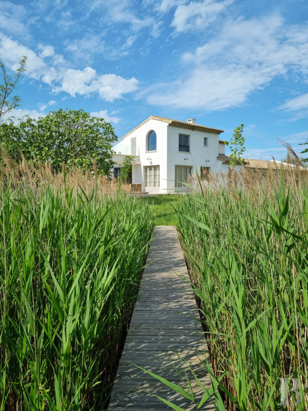 A farmhouse set amidst the marshes north of Saintes-Maries-de-la-Mer, in the Camargue - photo  n°15